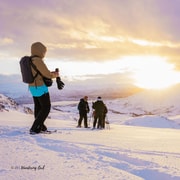From Tromsø: Snowshoeing Hike with Picnic Lunch and Photos