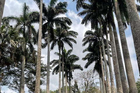 Gana: excursão de 8 dias em dezembro com Afrofuture/vida noturna