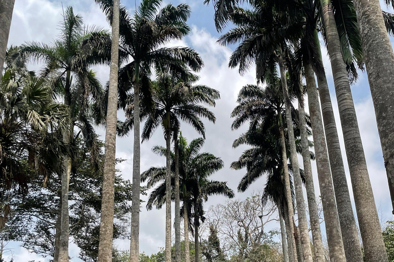 Gana: excursão de 8 dias em dezembro com Afrofuture/vida noturna