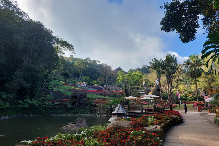 Chiang Rai: Mountains Discovery Doi Mae Salong & Doi Tung Mountains Discovery:Doi Mae Salong & Doi Tung (Private Tour)