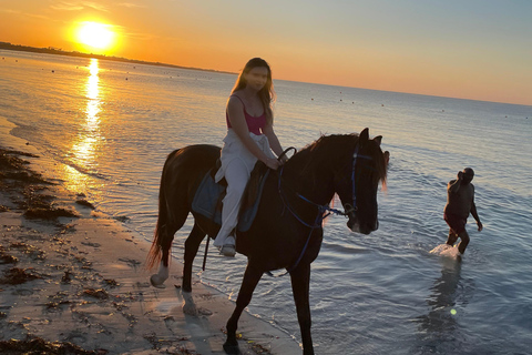 Djerba: Individual Horse Riding in the Blue Lagoon.