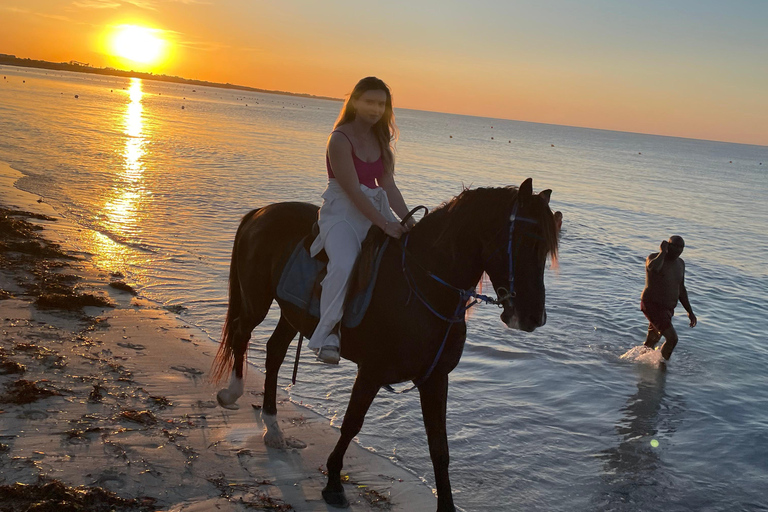 Djerba: Individual Horse Riding in the Blue Lagoon.