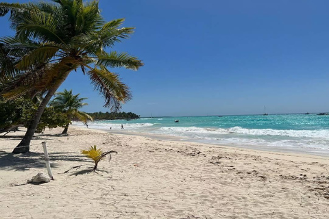 Punta Cana: Saona Island Speedboat Tour with Lunch