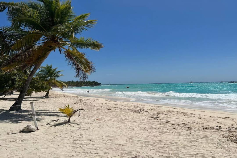 Punta Cana: Saona Island Speedboat Tour with Lunch