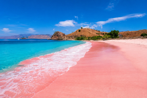 From Lombok: Gili Petelu and Pink Beach Snorkeling Tour