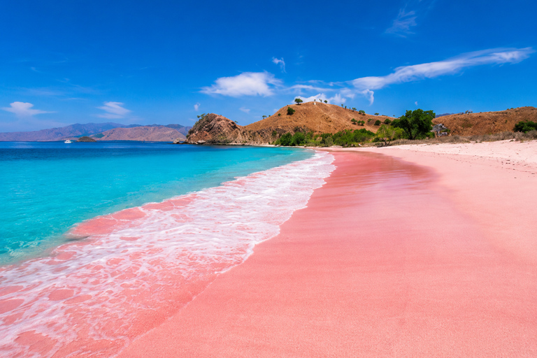 From Lombok: Gili Petelu and Pink Beach Snorkeling Tour