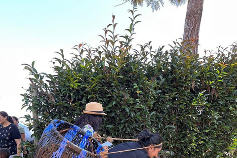 Nairobi: Purple Tea Farm Tour & Tasting Daytrip