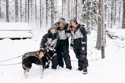 Rovaniemi: Small-Group Self-Drive Husky Experience