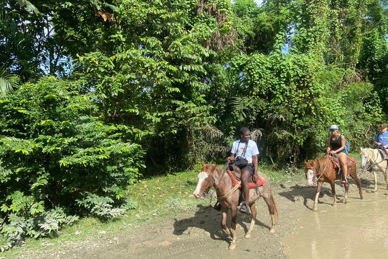 Puerto Plata: Horseback Tour of the Beach and Local Community