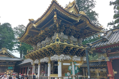 Excursion privée d&#039;une journée à Nikko avec guides anglophones