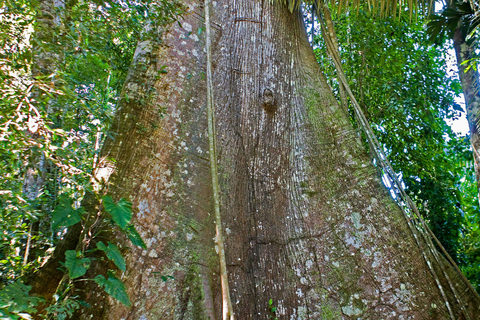 From Cusco: 3-Day Manu Amazon Jungle Expedition & Photos