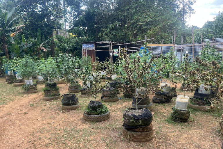 Montego Bay: 3-Hour ATV Safari Adventure Ride with Lunch From Montego Bay Hotel / Cruise Ship Port