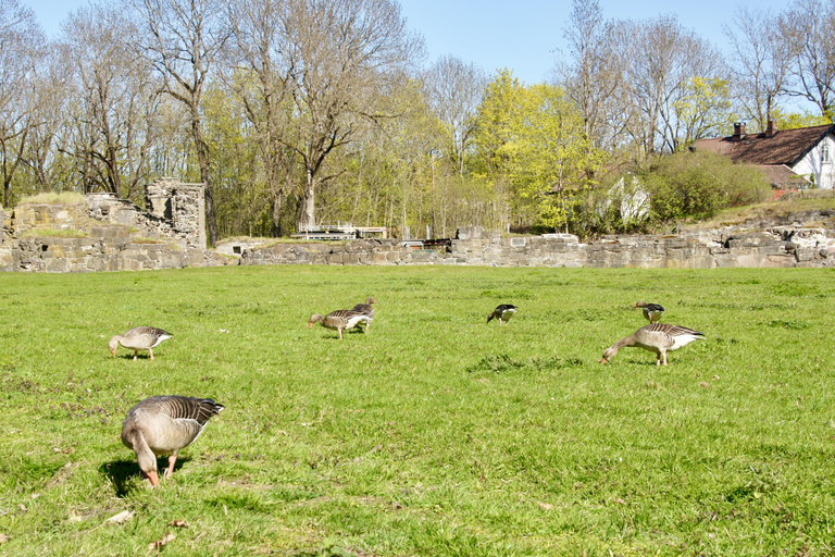 Oslo: Island Hopping with Optional Lunch