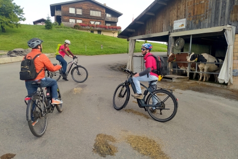 Swiss Army Knife Valley Bike Tour and Lake Lucerne Cruise From Lucerne: Swiss Valley E-Bike Day Tour and Boat Cruise