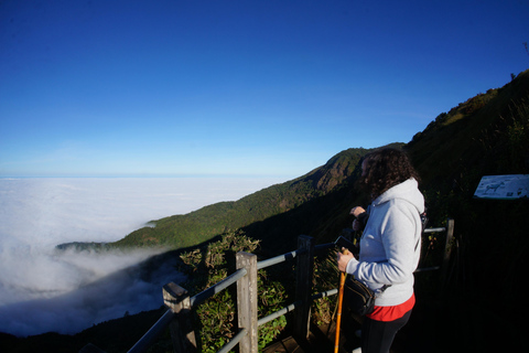 Two days Doi Inthanon national park