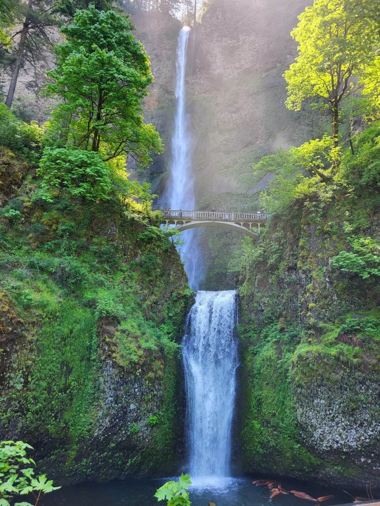 Die wunderbaren Wasserfälle der Columbia River Gorge Tour