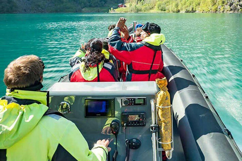 Balestrand: Fjord Sightseeing by Fast Boat