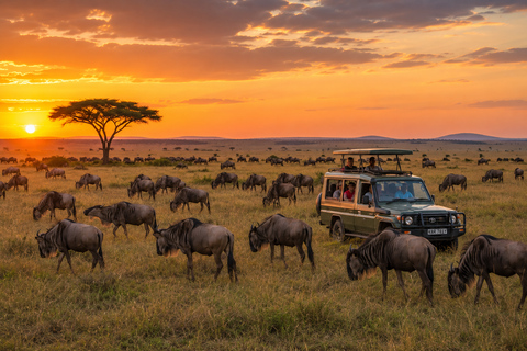 Kenya: Maasai Mara, Amboseli, & Lakes 7-Day Safari Tour