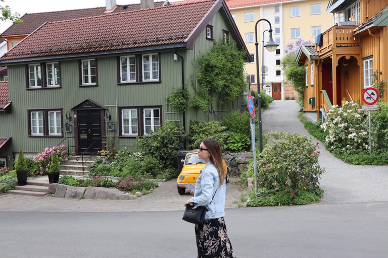 Oslo: Private Vintage Walking Tour with Photos Private Vintage Oslo Walk & Aesthetic Photos
