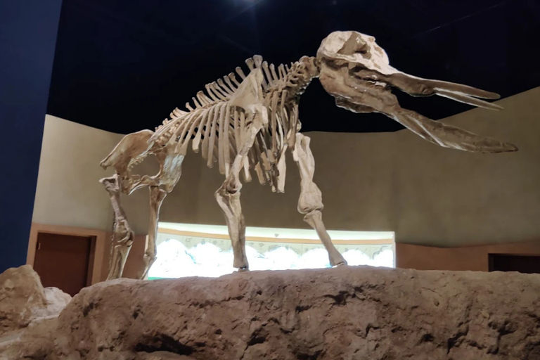 Rijad: zwiedzanie Narodowego Muzeum Arabii Saudyjskiej z przewodnikiemRijad: zwiedzanie z przewodnikiem Muzeum Narodowego Arabii Saudyjskiej