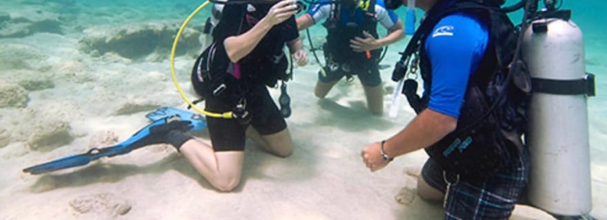 PADI Discover Scuba Diving : à la réserve marine de Hol Chan