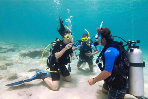PADI Discover Scuba Diving: at Hol Chan Marine Reserve