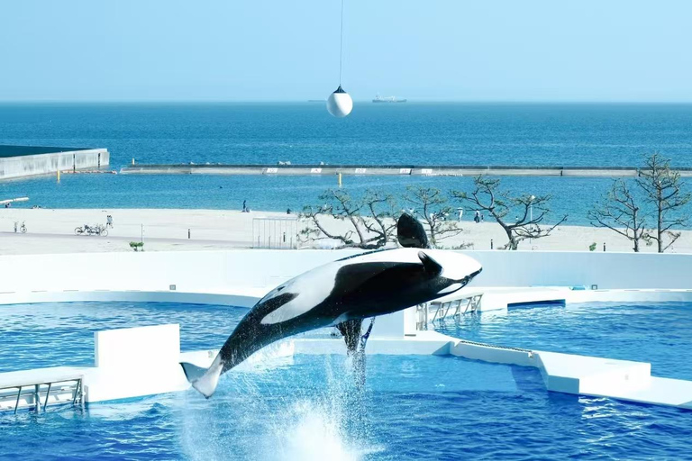 Nagoya: Port of Nagoya Public Aquarium Admission Ticket