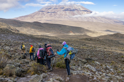 Mt. Kilimandjaro : Randonnée d&#039;une journée sur le Kilimandjaro par la route de Marangu