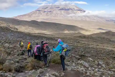 Monte Kilimanjaro : Caminhada de um dia no Kilimanjaro pela rota Marangu
