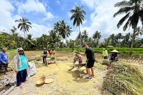 Lombok: Private Tour for Cruise Ship Passengers Waterfall, Culture & Beach