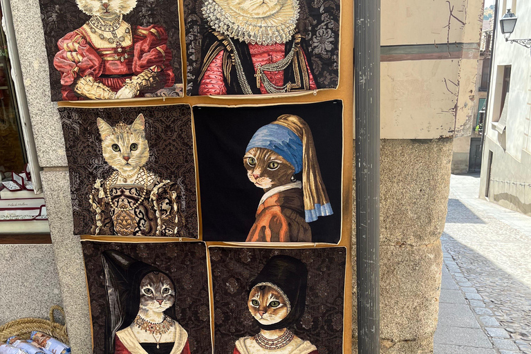 Toledo: Excursion from Madrid with a cultural tour guide and van