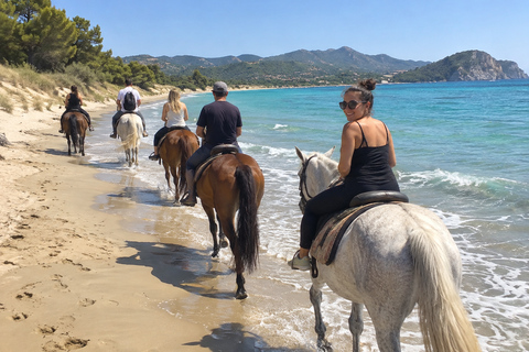 Zakynthos: Beach Horseback Riding and Swimming Experience