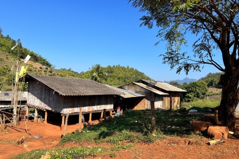 Chiang Mai: całodniowe zwiedzanie 5 górskich plemionCałodniowa wycieczka 5 Hill Tribes Trek przez Van