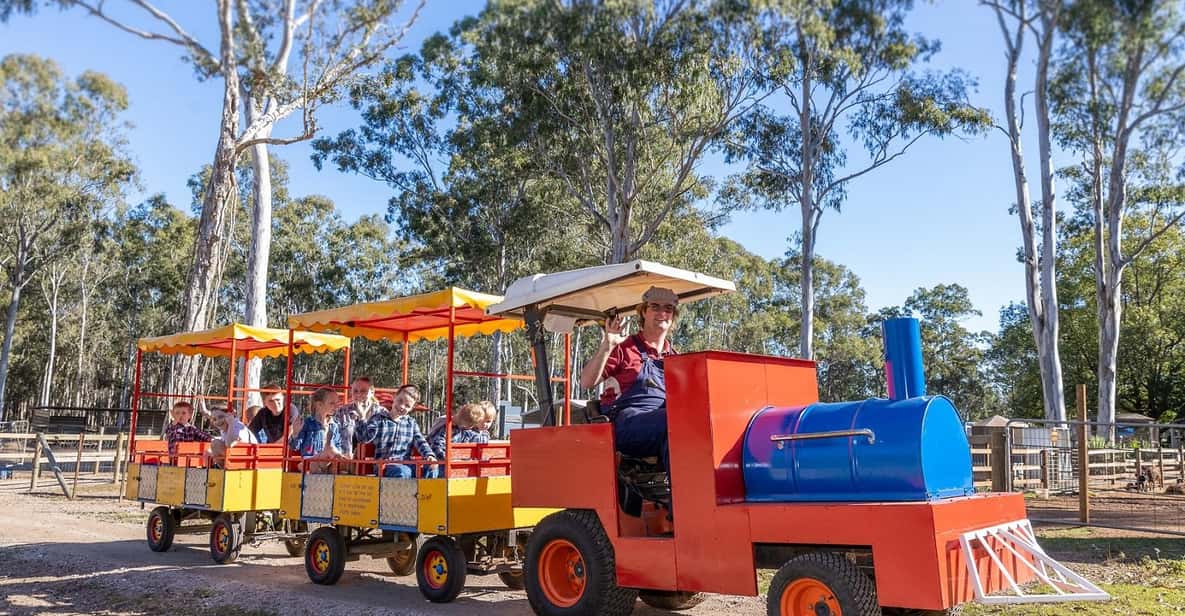 ブリスベン発：ホワイトリッジファーム 動物農場ツアー GetYourGuide