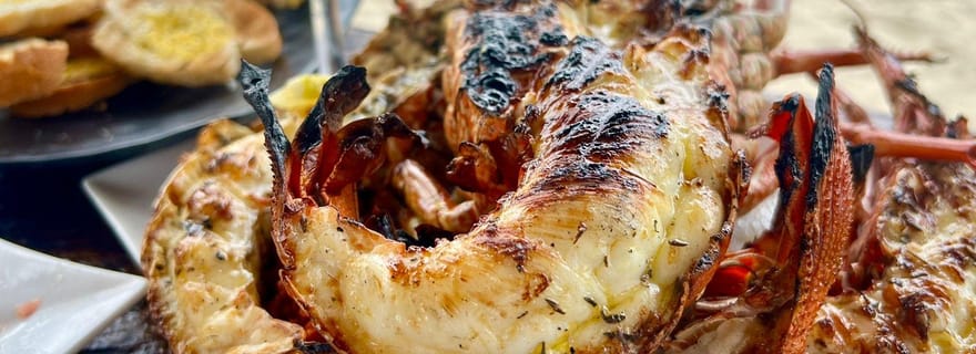 'Feet in the water': Snorkel & have Lunch on 'Benitier island