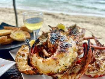 'Pieds dans l'eau': Snorkel & have Lunch on 'Benitier island'