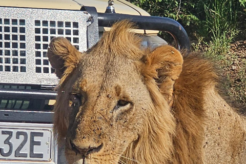 Nairobi National Park Game Drive Safari With Pick-Up