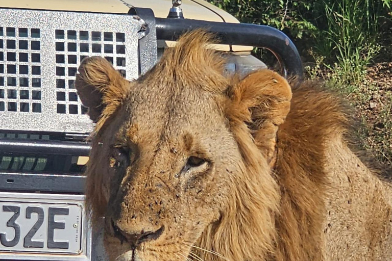 Nairobi National Park Game Drive Safari With Pick-Up