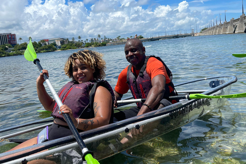 Clear Kayak Eco Tour - San Juan