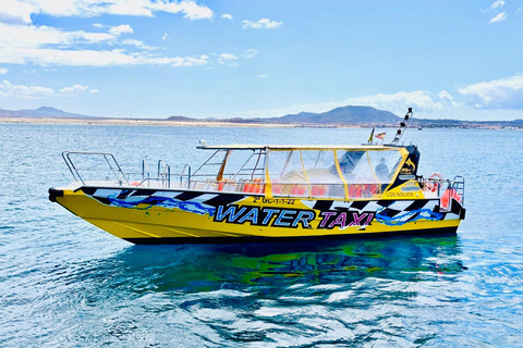 Lobos Island, Popcorn Beach, & Dunes Tour