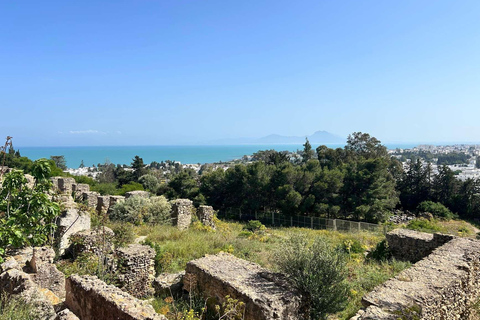 Tunis, Carthage & Bardo Museum: A Journey Through History From Mahdia