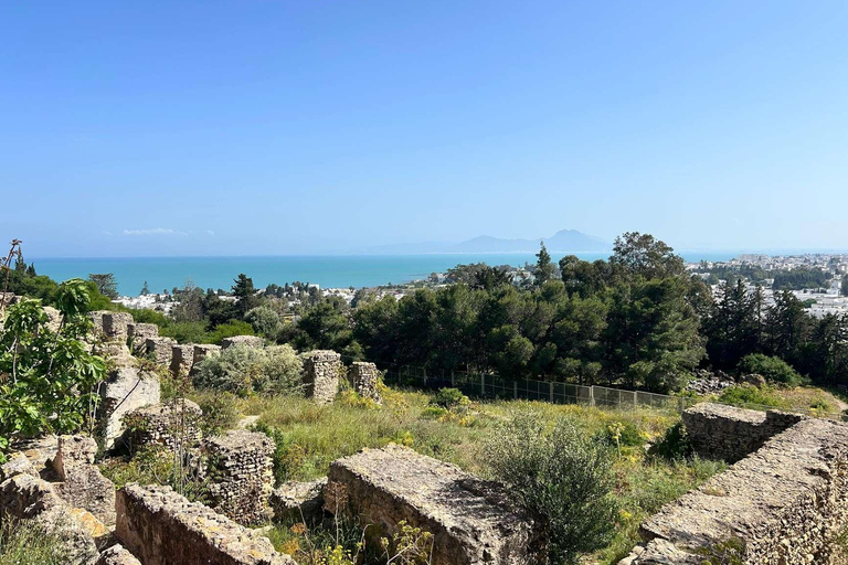 Tunis, Carthage & Bardo Museum: A Journey Through History From Mahdia