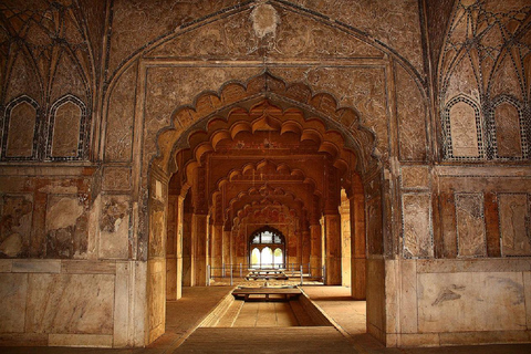 Skip-the-Line Guided Tour of Delhi's Iconic Red Fort Only Professional Tour Guide