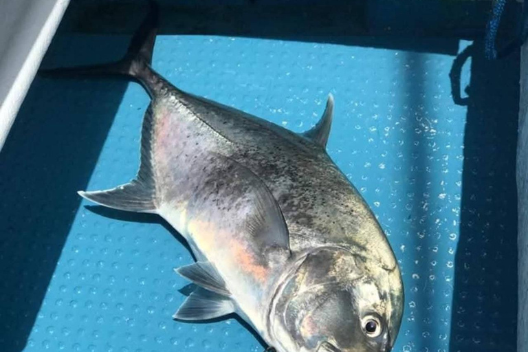 Zanzibar Big Game Fishing Adventure with Private Boat From Nungwi/Kendwa Tour with Meeting point + Entry ticket