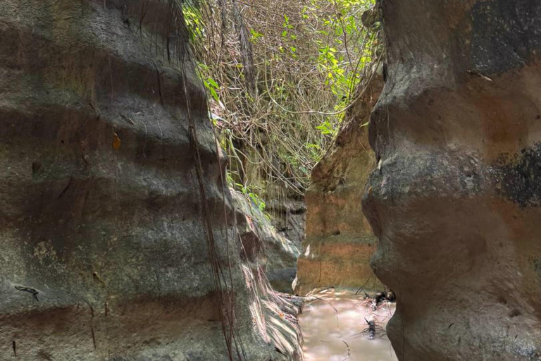 Cebu: Hidden Lagoon Trek and Swim