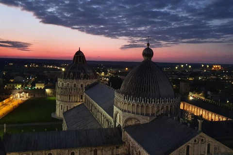 Tour privado de un día a Pisa desde Roma