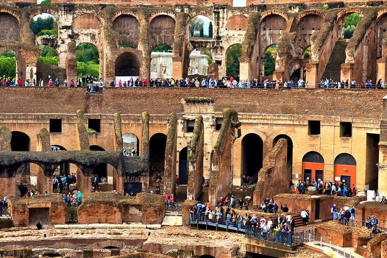 Colosseum Arena Tour, Palatine Hill and Roman Forum