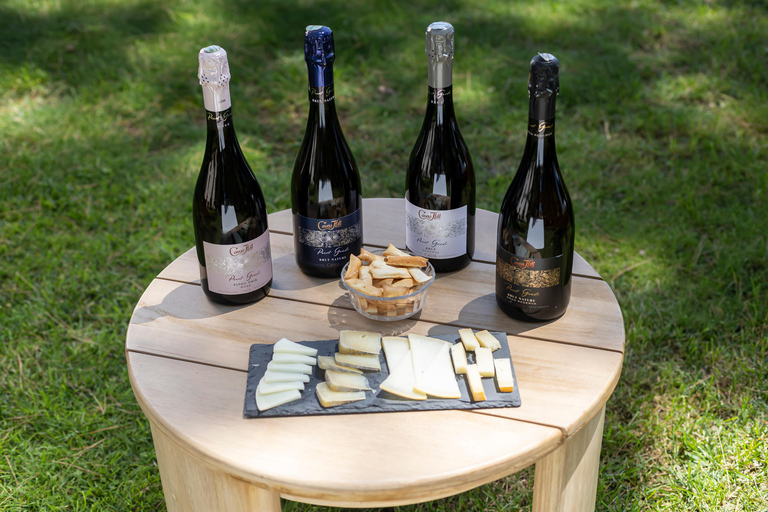 Barcelona: Cavas Hill - Visita a uma adega e degustação de queijosBarcelona: Colina Cavas - Tour pela adega e degustação de queijos