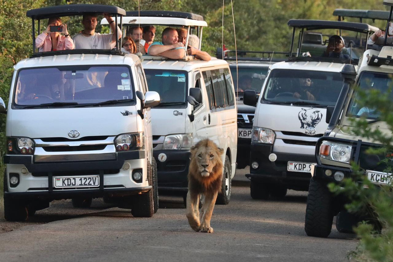 NAIROBI NATIONAL PARK BUDGET TOUR 6AM