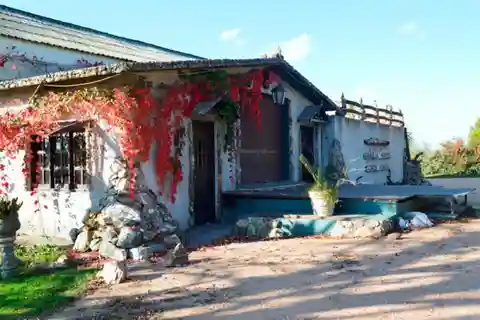 Visita à Adega Moizo
